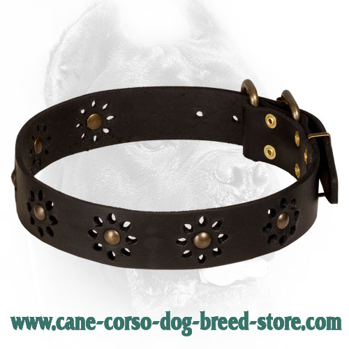 Leather Cane Corso Collar with Flower Decor