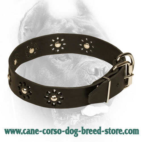 Leather Cane Corso Collar with Flower Ornament