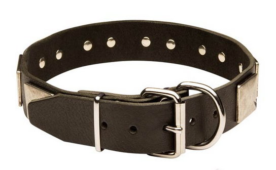 Handcrafted Leather Cane Corso Collar With Vintage Massive Plates