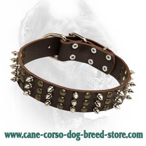 Cane Corso Studed and Spiked Leather Dog Collar