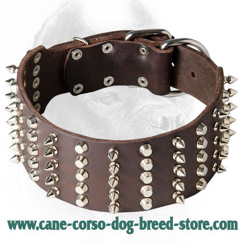 3 Inch Leather Cane Corso Collar with Spikes and Studs