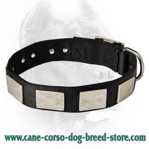 Nylon Dog Collar For Large and Medium Breeds With Massive Plates - Click Image to Close