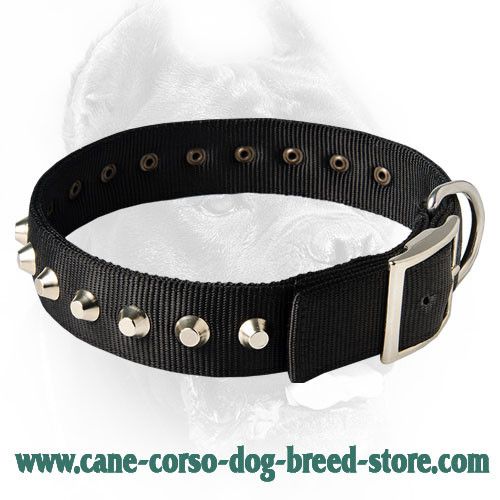 Gorgeous Nylon Dog Collar With Nickel Pyramids