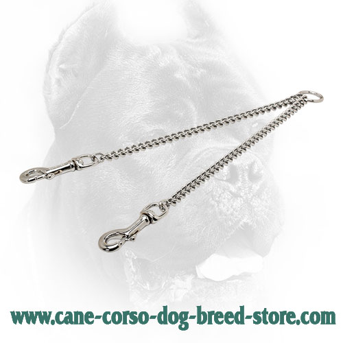 Chrome Plated Cane Corso Coupler for Walking Two Dogs - Click Image to Close