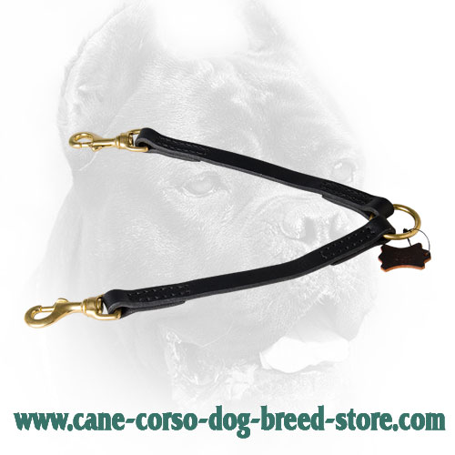 Stitched Design Leather Cane Corso Coupler
