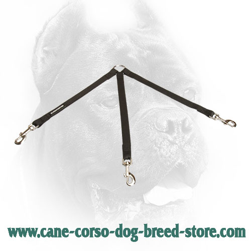 Nylon Cane Corso Coupler for Walking 3 Dogs - Click Image to Close