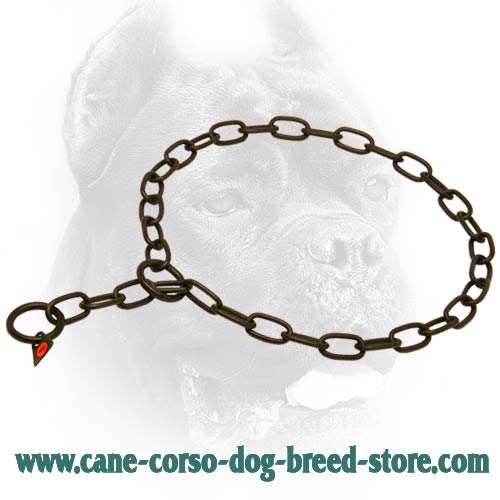Black Stainless Steel Cane Corso Dog Collar with Fur Saving Links