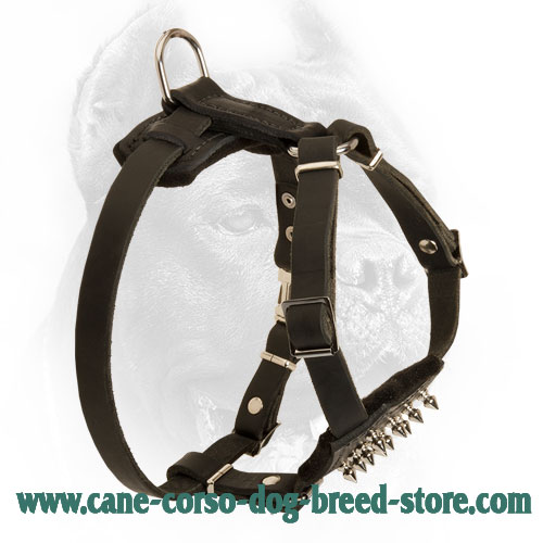 Puppy Spiked Design Leather Cane Corso Harness