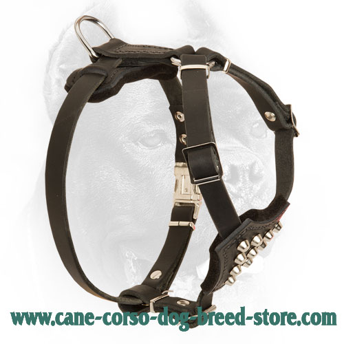 Small Leather Cane Corso Harness with Pyramids
