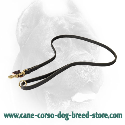 Classic Stitched Leather Cane Corso Leash