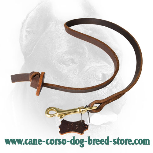Leather Cane Corso Leash with Circle Handle for Dog Training