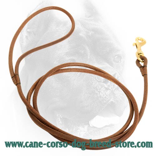 5 mm Round Leather Cane Corso Leash for Dog Shows