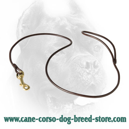 6 mm Round Leather Cane Corso Leash for Dog Shows