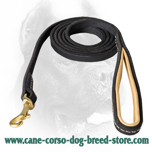 Stitched Leather Cane Corso Leash with Padded Handle