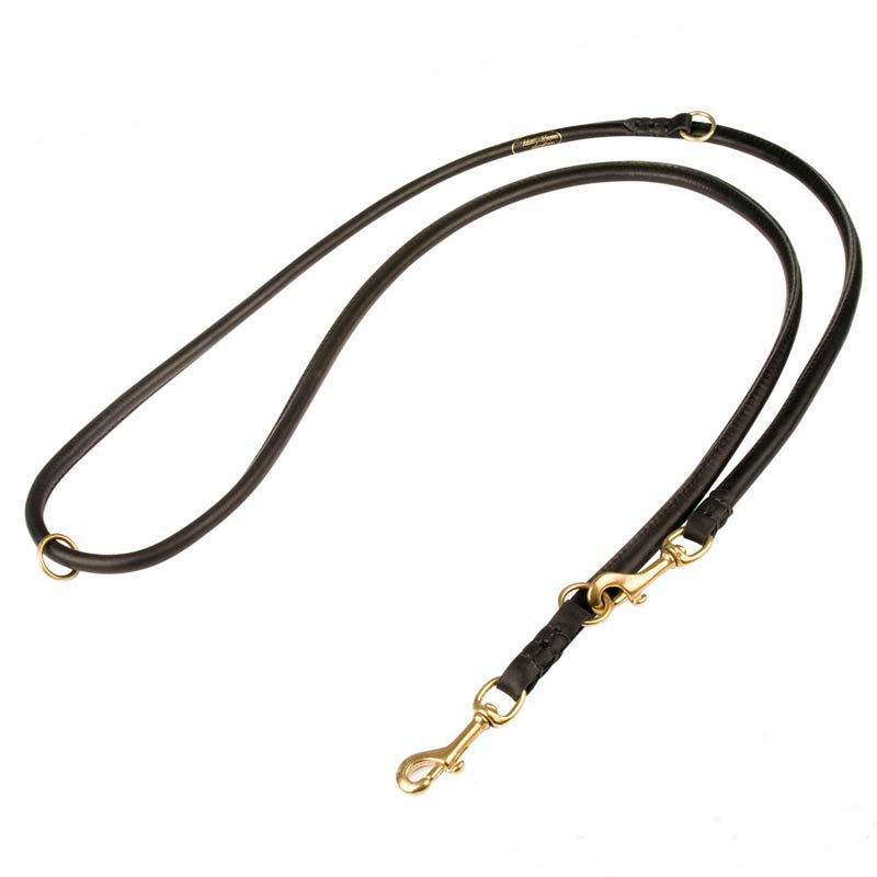 Multifunctional Round Leather Cane Corso Leash