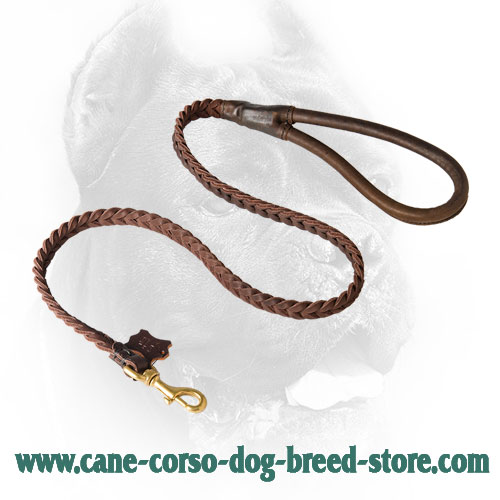 Braided Leather Cane Corso Leash with Comfy Handle