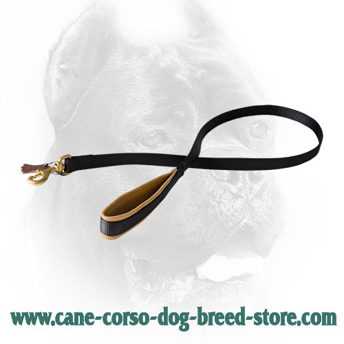 Multipurpose Nylon Cane Corso Leash with Padded Handle