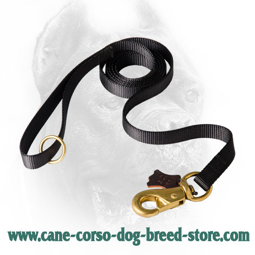 Universal in Use Nylon Cane Corso Leash
