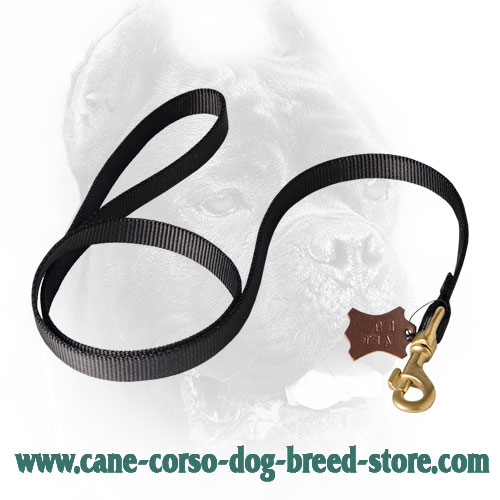 Long Nylon Cane Corso Leash for Police Work and Tracking