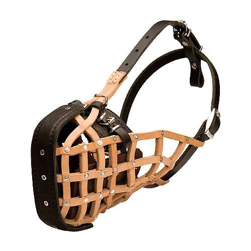 Ergonomic Design Leather Cane Corso Muzzle for K9 Service Dogs