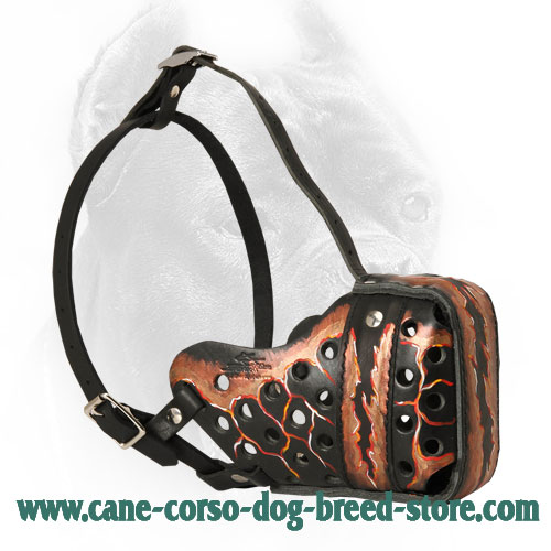 Magma Painted Leather Cane Corso Muzzle - Walking and Training