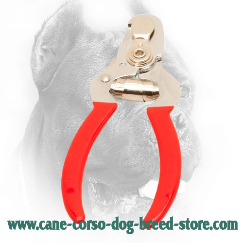 Cane Corso Nail Trimmer with Vinyl Handles