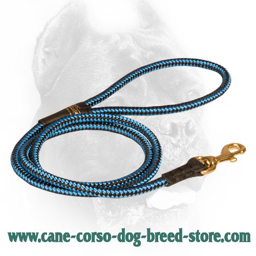 Chess Ornament Nylon Cane Corso Leash with Brass Hardware