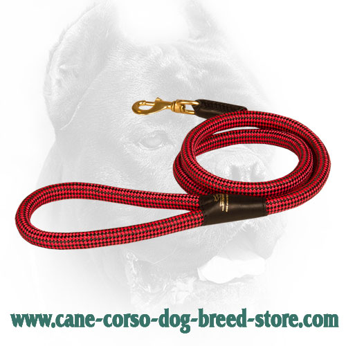 20 mm Nylon Cord Cane Corso Leash with Brass Snap Hook