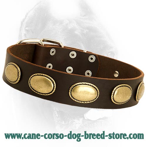 Retro Rulz - Gorgeous Vintage Dog Leather Collar