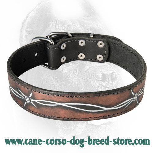 Hand Painted Canine Collar for Corsos - Exclusive Buckle Collar