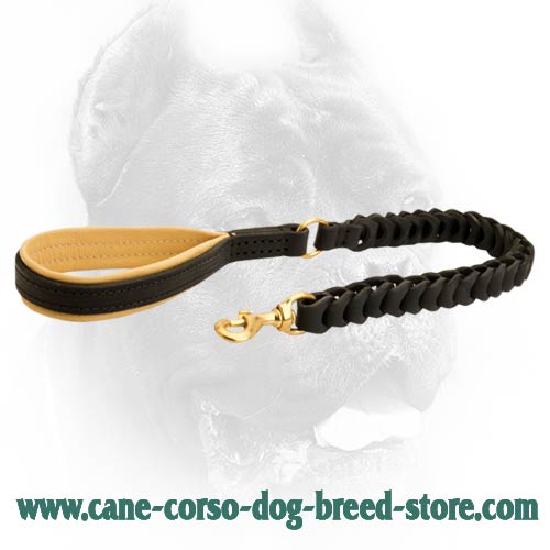 Leather Braided Dog Leash - Universal Lead for Cane Corso Breed