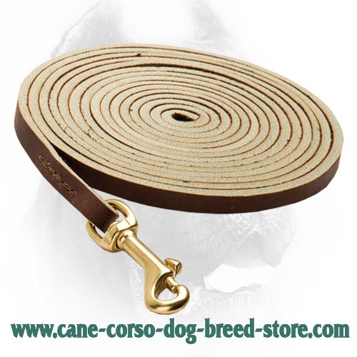 Extremely Durable Leather Dog Leash for Work with Cane Corso