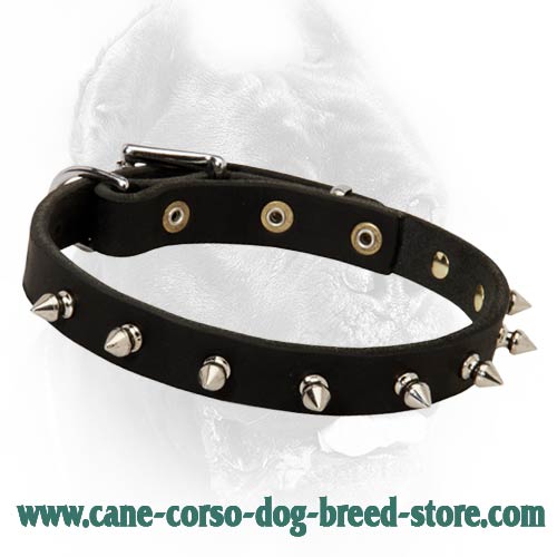 Beautiful Leather Dog Collar With Attractive Spikes-Field Dog Equipment