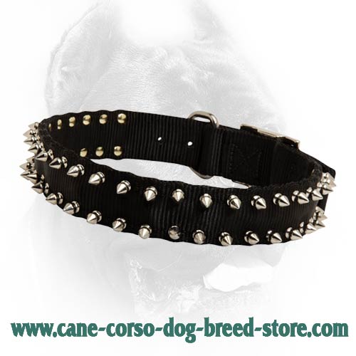 Black Colored Nylon Dog Collar with Two Rows of Shiny Spikes