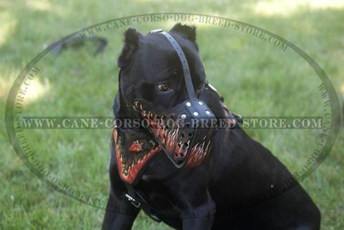 Handcrafted Flamed Design Reinforced Leather Cane Corso Muzzle