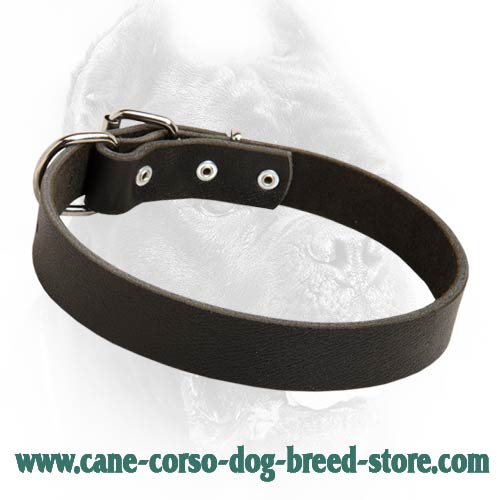 Try Personalized Leather Dog Collars: Cane Corso Soft Neck Collar