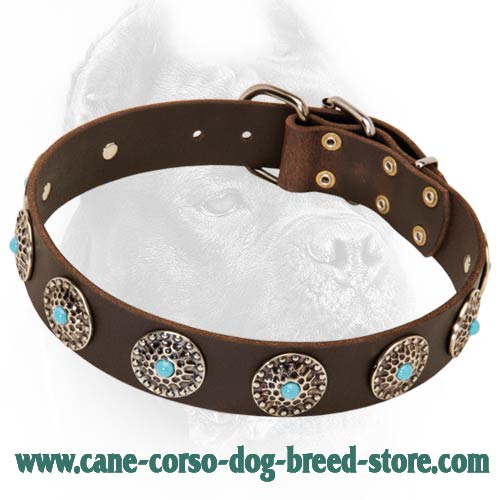Classy Leather Dog Collar with Silver Plated Circles and Blue Stones in Their Center