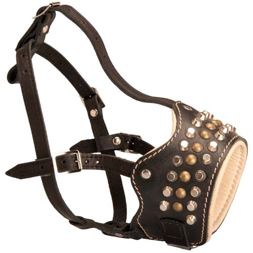 Studded Leather Cane Corso Muzzle with Nappa Padding