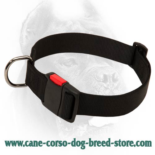 nylon quick release dog collar