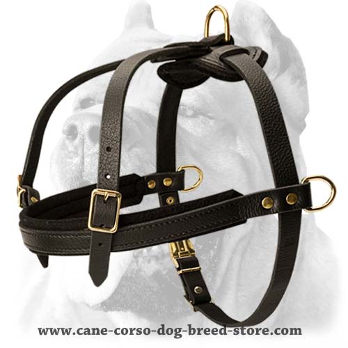 Tracking/Pulling/Agitation Leather Dog Harness For Cane Corso