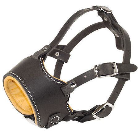 Anti-Barking Leather Cane Corso Muzzle for Safe Walking