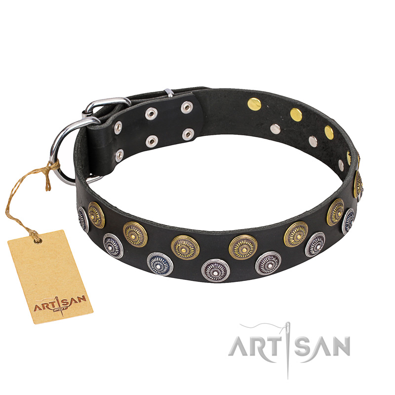 "Romantic Breeze" FDT Artisan Black Leather Cane Corso Collar with Elegant Circles