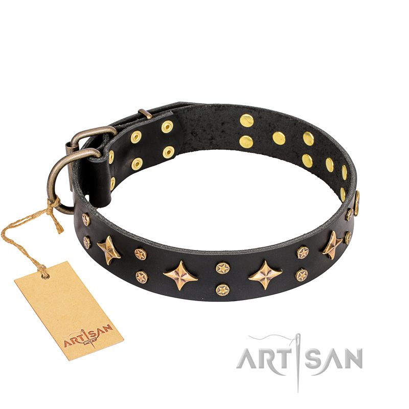 'A La Mode' FDT Artisan Handmade Black Leather Cane Corso Collar