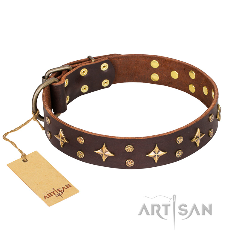 'High Fashion' FDT Artisan Embellished Brown Leather Cane Corso Collar