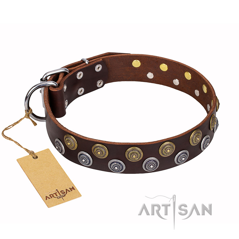 'Strong Shields' Wide FDT Artisan Leather Cane Corso Collar with Extraordinary Circles