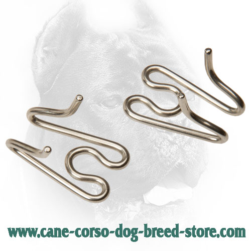 Extra Links for Stainless Steel Cane Corso Pinch Collar