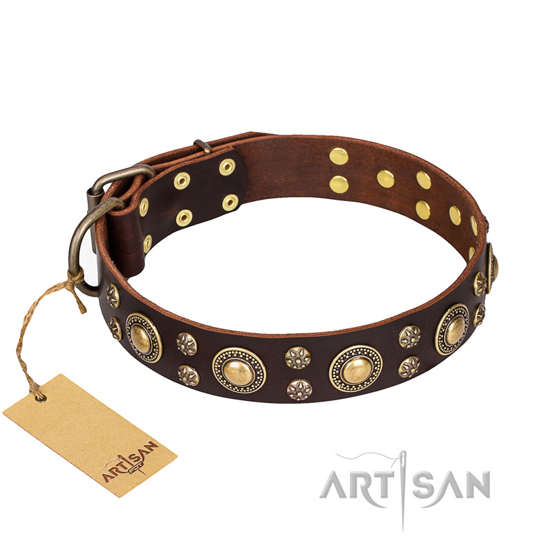 'Flower Melody' FDT Artisan Brown Leather Dog Collar with Mixed Studs for Cane Corso Everyday Use