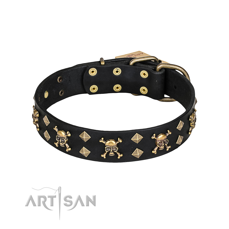 'Jolly Rojer' FDT Artisan Cane Corso Leather Dog Collar with Pirate Skulls and Studs
