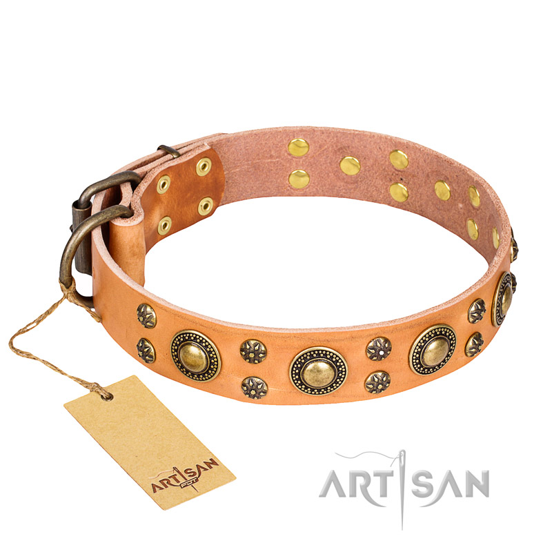 'Sophisticated Glamour' FDT Artisan Tan Leather Cane Corso Collar with Fancy Old-bronze Plated Decorations