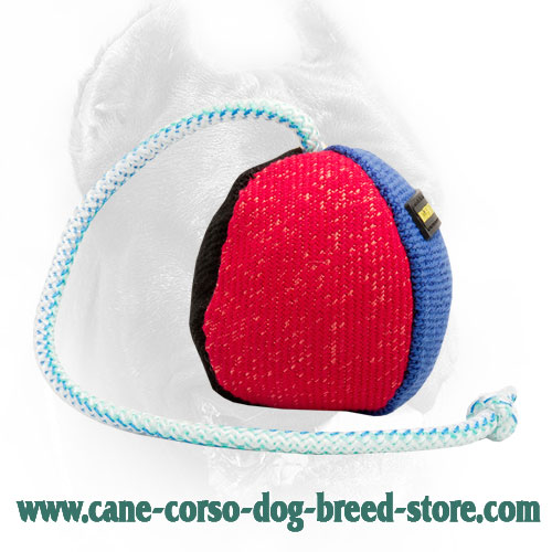 35% OFF - LIMITED OFFER! Small French Linen Dog Toy with Strong Handle